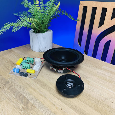 Linn Sekrit (in-wall speaker) Tweeter, Driver & Crossover