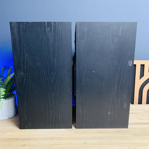 Bowers & Wilkins B&W DM110 Vintage Speakers (Pair)