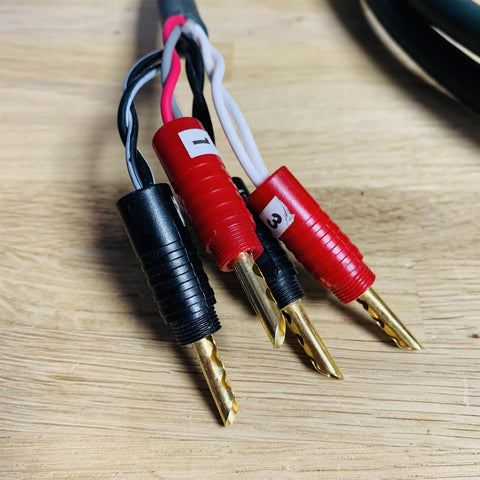 Audioquest Type 6+ (Spread Spectrum Hyperlitz) Speaker Cable 3m