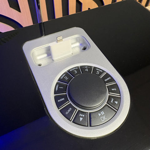 Vita Audio R2 With 30pin iPod Dock