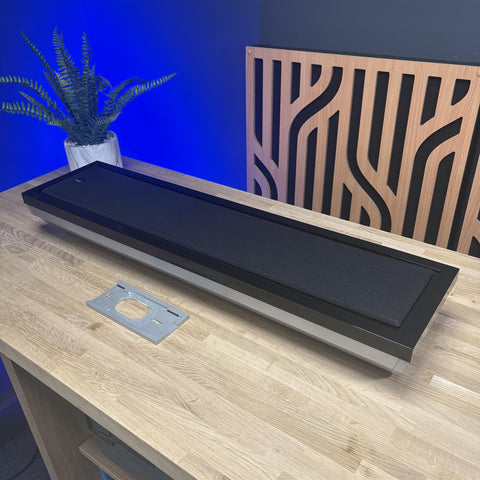 Bowers & Wilkins FPM6 Speaker