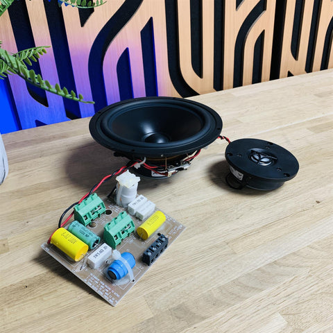 Linn Sekrit (in-wall speaker) Tweeter, Driver & Crossover