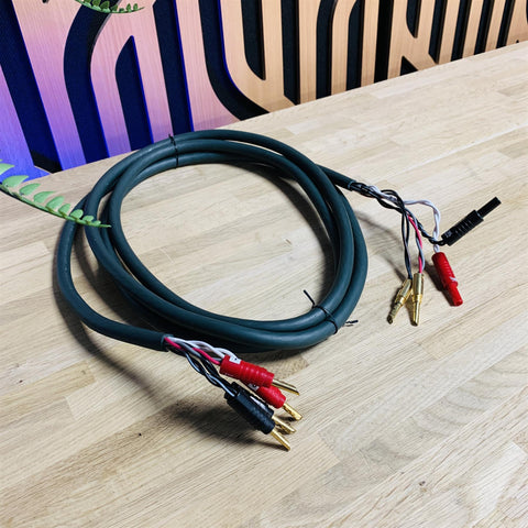 Audioquest Type 6+ (Spread Spectrum Hyperlitz) Speaker Cable 3m