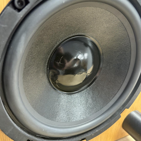 REL Stampede Mosfet Subwoofer With Remote