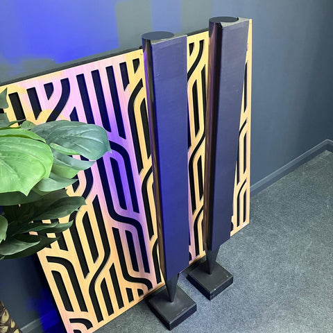 Bang & Olufsen Beolab 8000 Speaker (Pair)