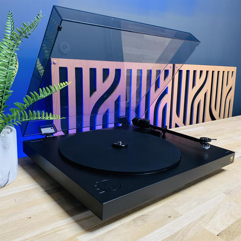 Sony PS-HX500 Vinyl to Digital USB Turntable & Record Player