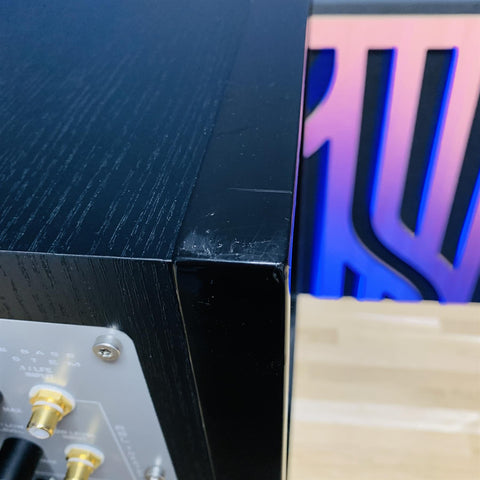 REL T2 Subwoofer w/ Speakon Cable