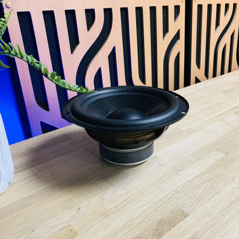 Paradigm Soundtrack 2 Subwoofer Driver