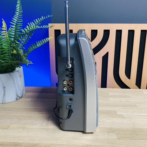 Roberts RD-1 FM/DAB Digital Radio
