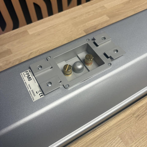 Bowers & Wilkins FPM6 Speaker