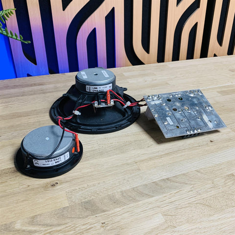 Linn Sekrit (in-wall speaker) Tweeter, Driver & Crossover