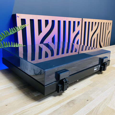 Sony PS-HX500 Vinyl to Digital USB Turntable & Record Player