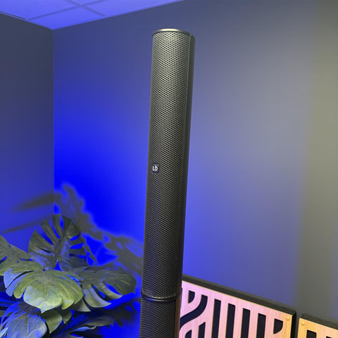 LD System Maui 5 Go Active Speaker including LD Cover and Bag