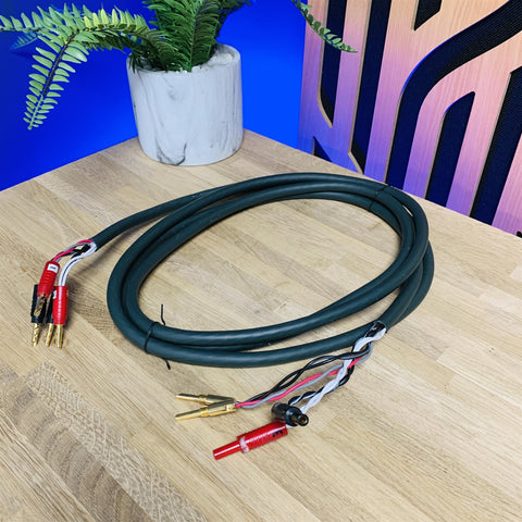 Audioquest Type 6+ (Spread Spectrum Hyperlitz) Speaker Cable 3m