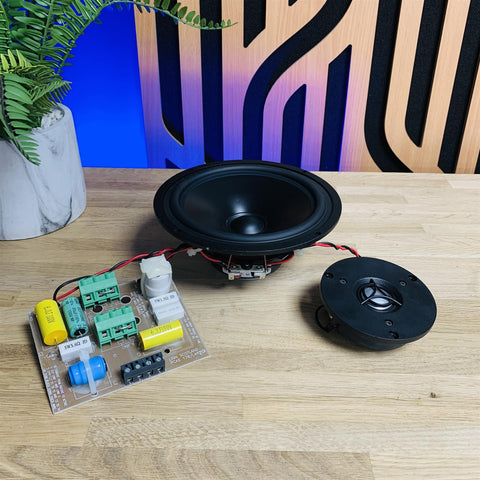 Linn Sekrit (in-wall speaker) Tweeter, Driver & Crossover